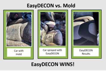 Mold Remediation Solutions by EasyDECON - Leaders in Decontamination