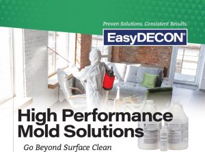 Mold Solution- EasyDECON